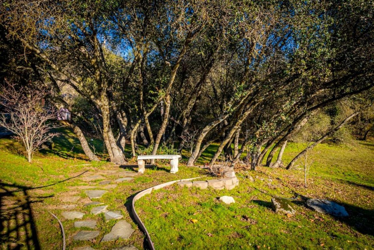 Fairy Tale 13-Acre Sunset Villa At Windy Gap Valley Near Yosemite 아와니 외부 사진